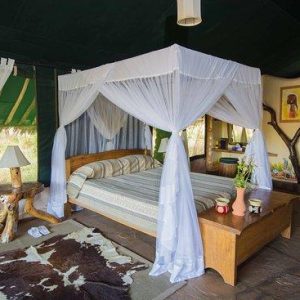 Kibo Safari Camp – Amboseli