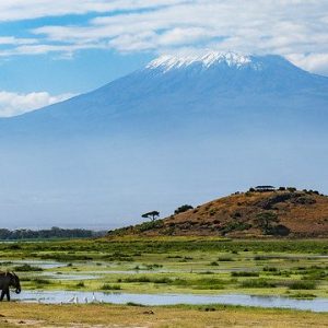 What-to-Expect-in-Amboseli-National-Park-Kenya- (1)