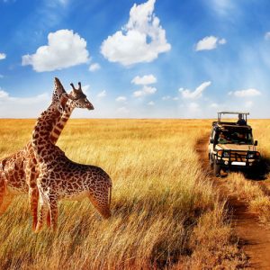 safari-est-tsavo
